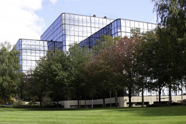 Commercial Tree Trimming in Winchester
