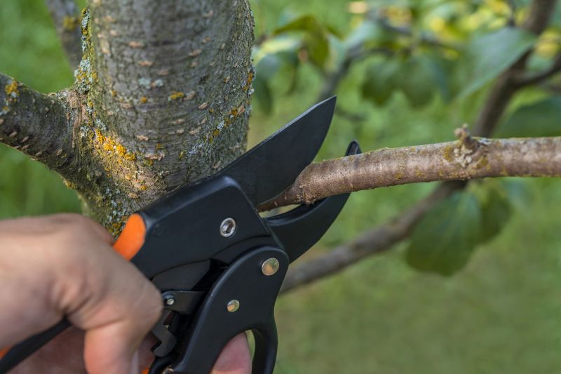 Tree Preservation Pruning